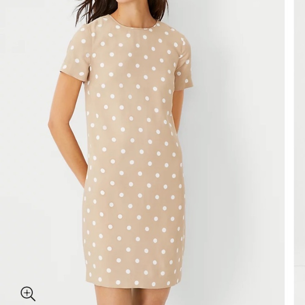 Ann Taylor Polka Dot Tee Dress